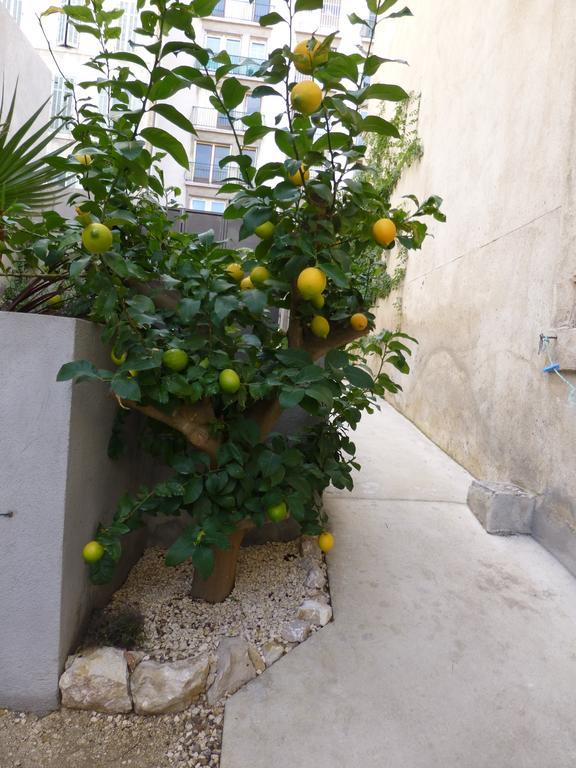 L'Orangeraie Et La Palmeraie D'Endoume มาร์กเซย ภายนอก รูปภาพ